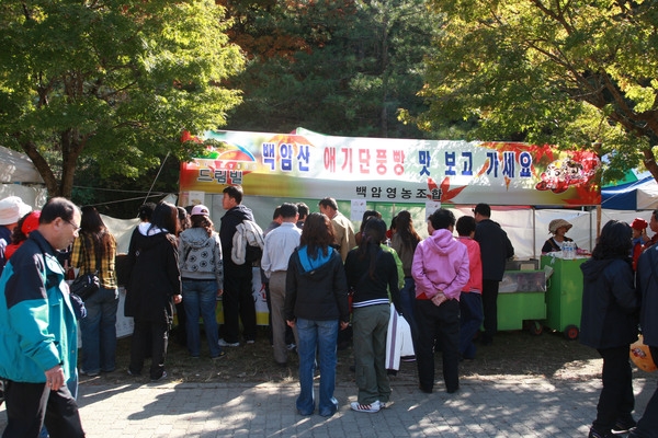 제13회 장성백양단풍축제