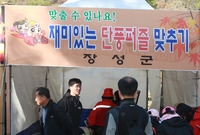 제13회 장성백양단풍축제