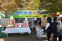 제13회 장성백양단풍축제
