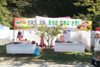 제13회 장성백양단풍축제