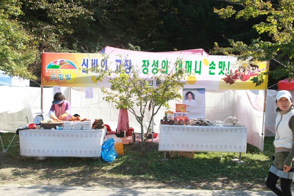 제13회 장성백양단풍축제
