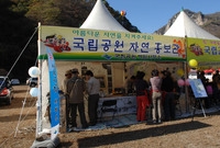 제13회 장성백양단풍축제