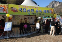 제13회 장성백양단풍축제