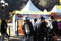 제13회 장성백양단풍축제