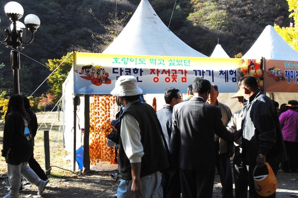 제13회 장성백양단풍축제