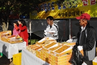 제13회 장성백양단풍축제