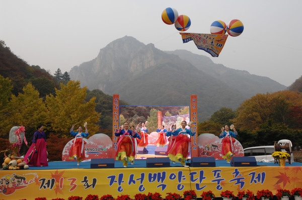 제13회 장성백양단풍축제