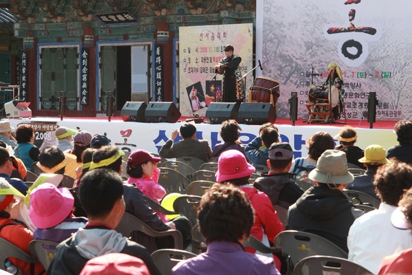 제13회 장성백양단풍축제