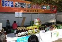 제13회 장성백양단풍축제