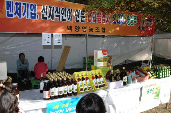 제13회 장성백양단풍축제