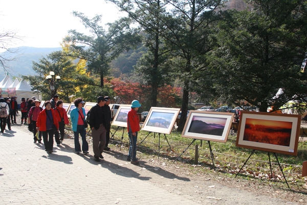 제13회 장성백양단풍축제