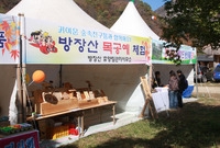 제13회 장성백양단풍축제