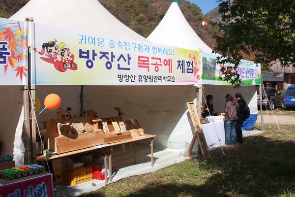 제13회 장성백양단풍축제