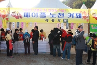 제13회 장성백양단풍축제