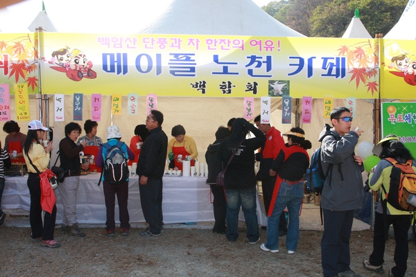 제13회 장성백양단풍축제
