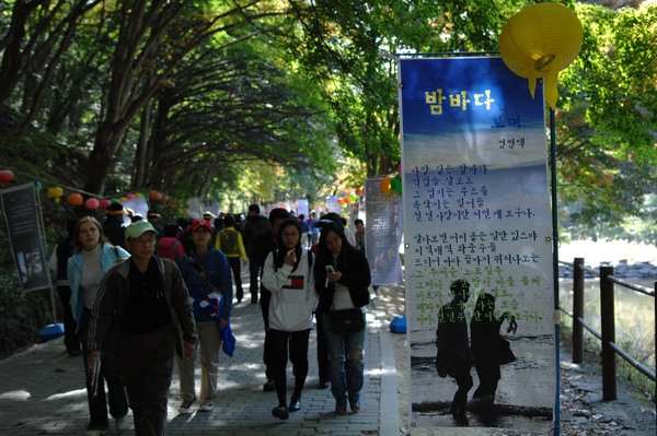 제13회 장성백양단풍축제