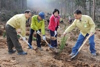 제64회 식목일행사