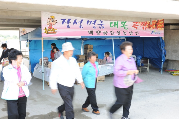 제11회 장성홍길동 축제