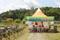 제11회 장성홍길동 축제