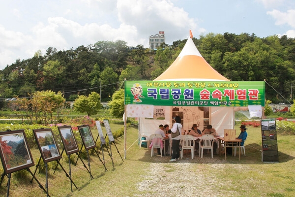 제11회 장성홍길동 축제