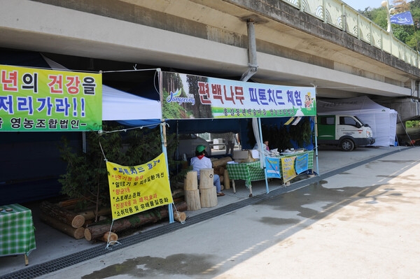 제11회 장성홍길동 축제