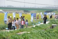 제11회 장성홍길동 축제