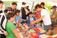 제11회 장성홍길동 축제