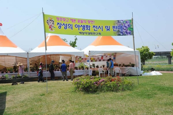 제11회 장성홍길동 축제