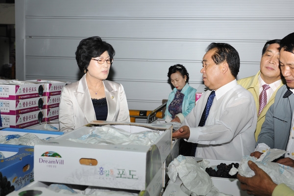 광주 각화동 농산물 도매시장 방문