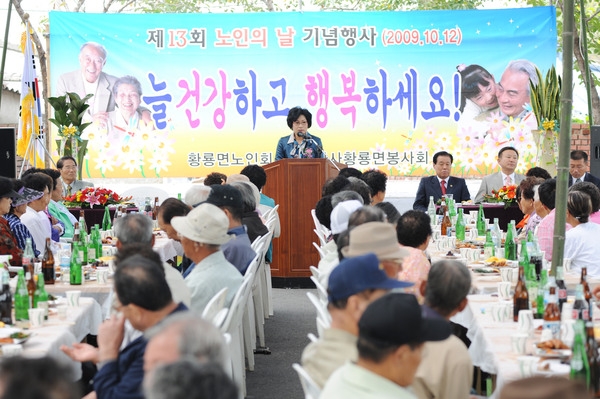 제13회 노인의날 행사(황룡면)