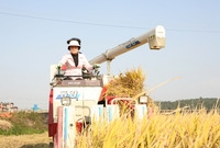 2009년 가을 벼수확 콤...