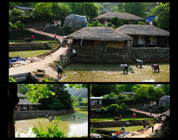 2009년도 장성관광사진 공모전