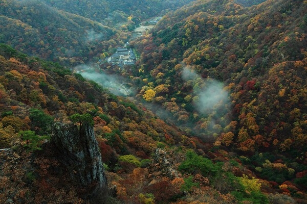 2009년도 장성관광사진 공모전