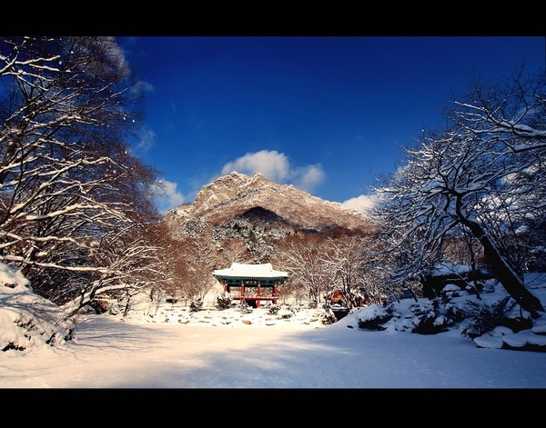 2009년도 장성관광사진 공모전
