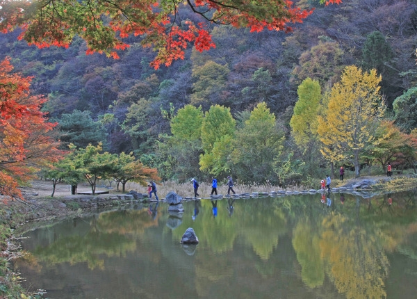 2009년도 장성관광사진 공모전
