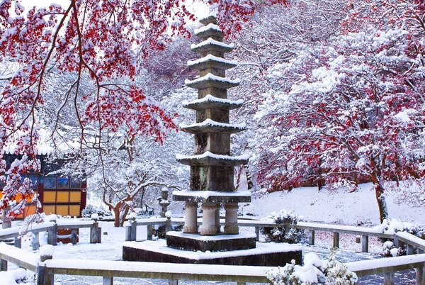 2009년도 장성관광사진 공모전