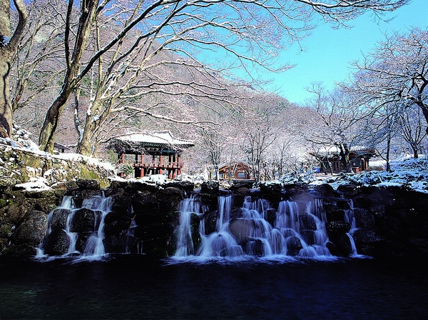 2009년도 장성관광사진 공모전