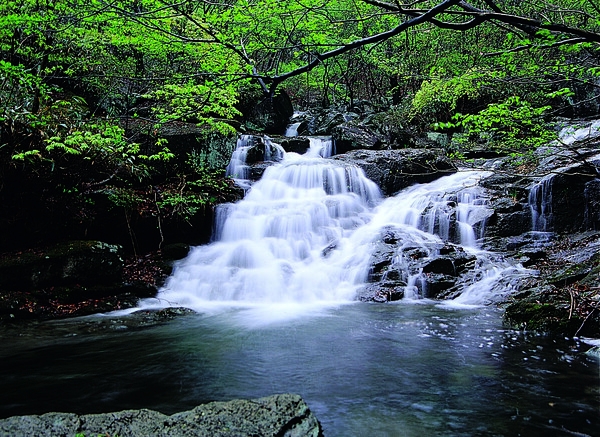 2009년도 장성관광사진 공모전