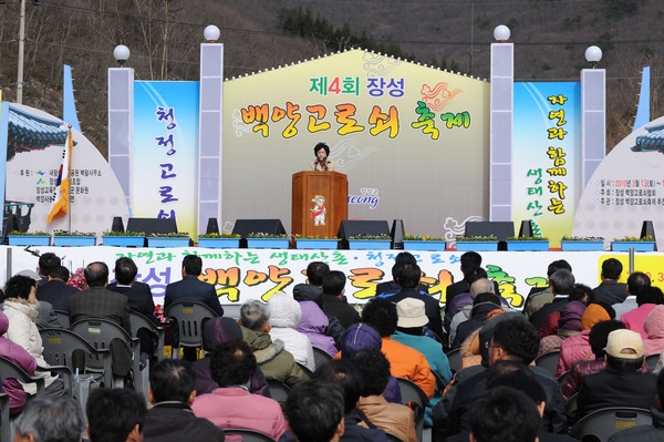 제4회 장성 백양고로쇠 축제