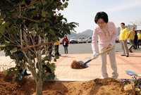 제65회 식목일기념 식수