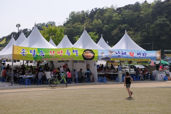 제12회 장성 홍길동 축제