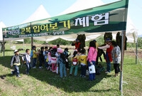 제12회 장성 홍길동 축제