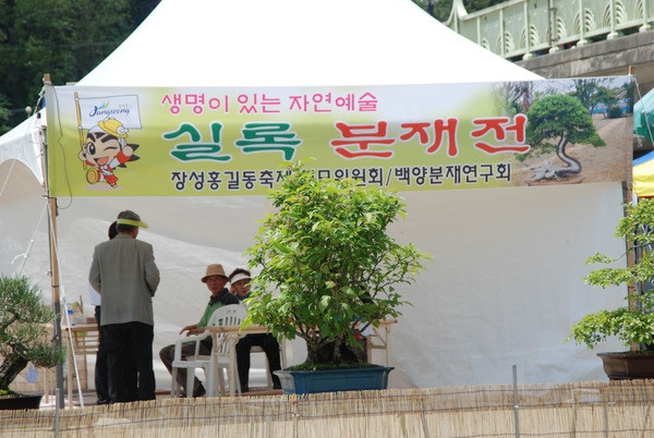 제12회 장성 홍길동 축제