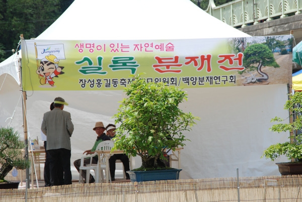 제12회 장성 홍길동 축제