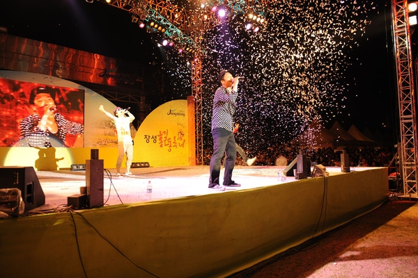 제12회 장성 홍길동 축제