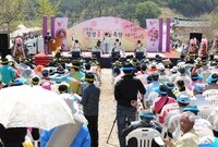 제13회 장성 홍길동 축제