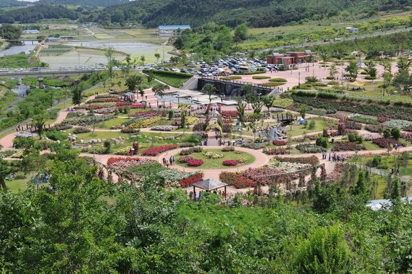 2011년 평림댐 장미공원