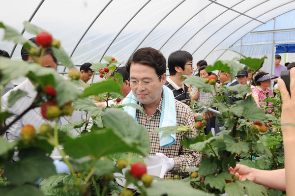 산딸기(복분자) 수확 영농체험 및 현장대화