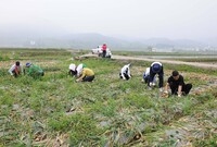 2011년 공무원 농촌 일...