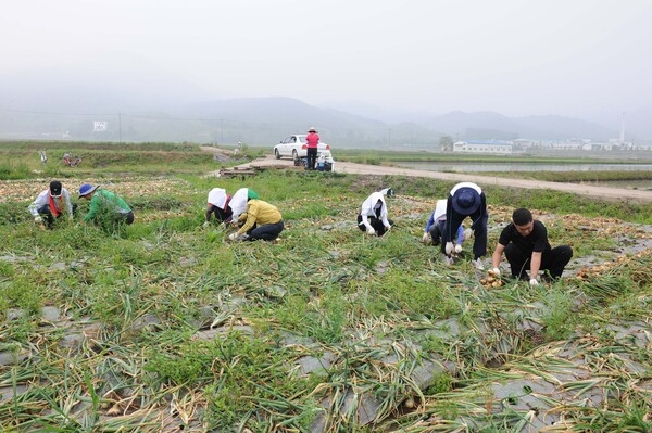 2011년 공무원 농촌 일손돕기